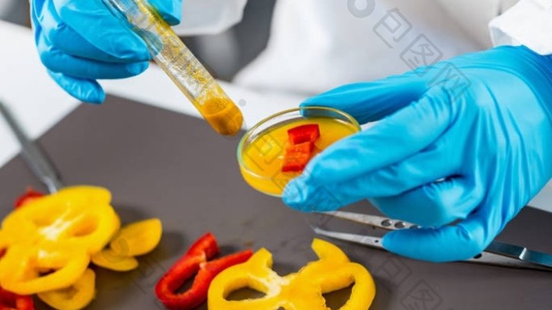 粮油检测标准GBT：守护食品安全的重要防线**
